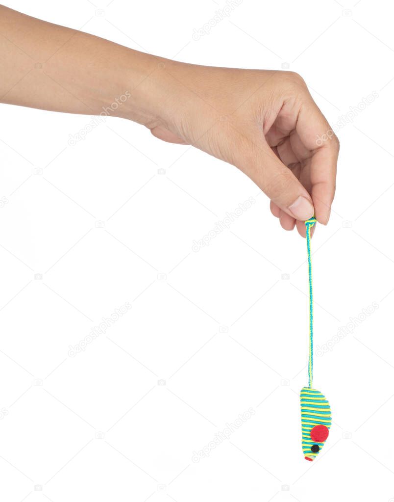Hand holding Cat toys pet mouse isolated on white background