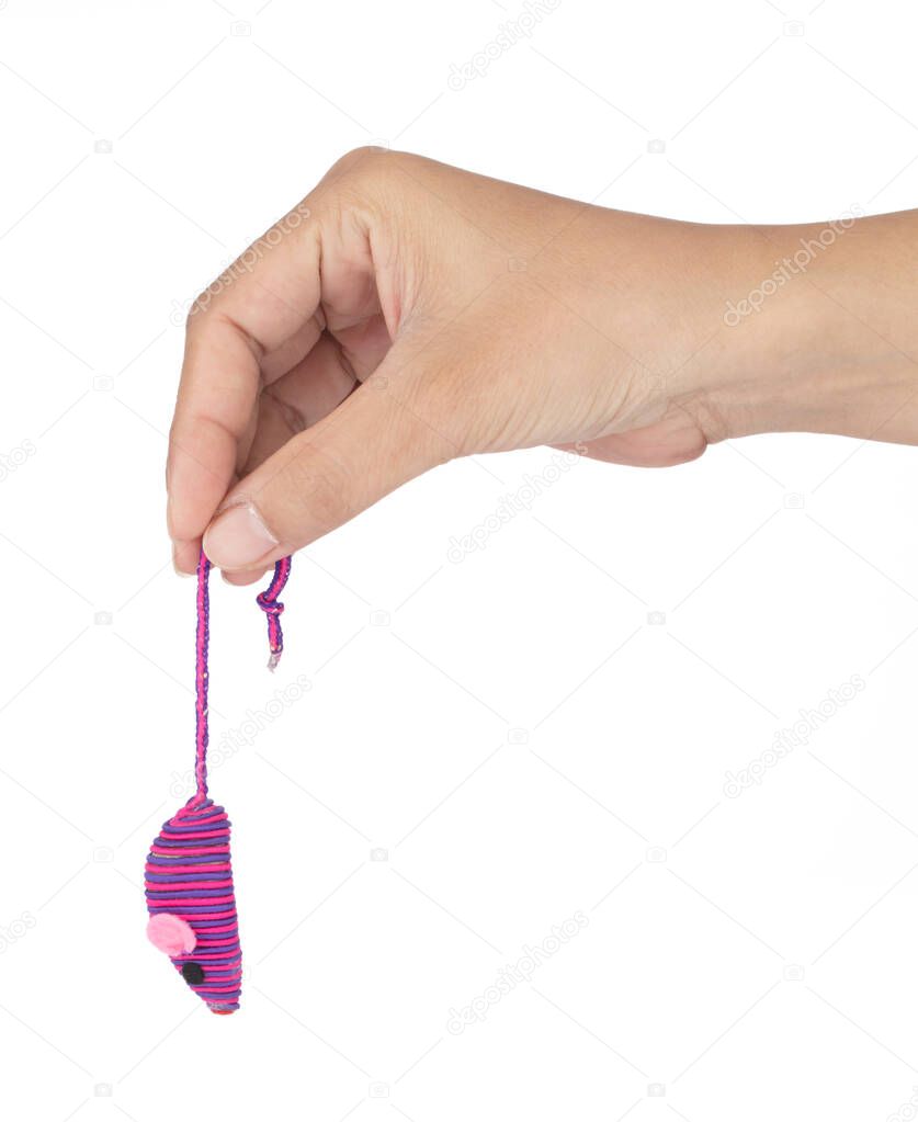 Hand holding Cat toys pet mouse isolated on white background