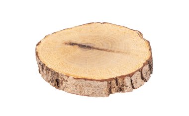 circular piece of wood section texture isolated on white backgro