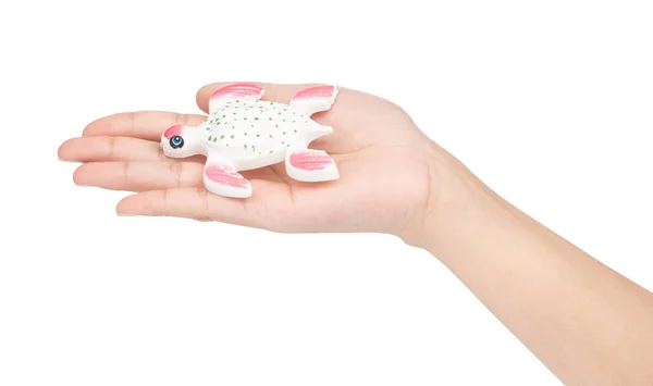 Mão segurando plástico brinquedo tartaruga isolada no fundo branco — Fotografia de Stock