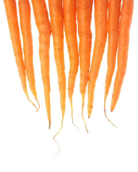 Морковь изолированы на белом фоне. — стоковое фото