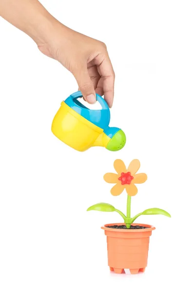 Hand holding watering can watering flower in pot isolated on a w — ストック写真