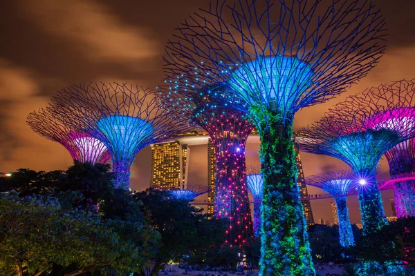 Singapur - 18. Februar 2017: Supertree Garten bei Nacht, Garten — Stockfoto