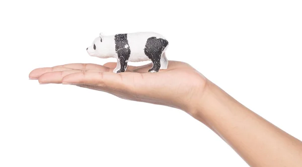 Hand holding toy plastic panda isolated on white background — 图库照片