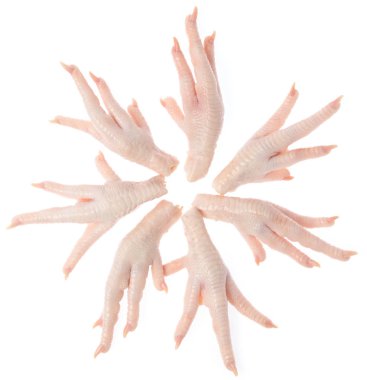 Beyaz arka planda çiğ tavuk ayağı izole