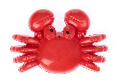 plastic animal of beach toy isolated on white background