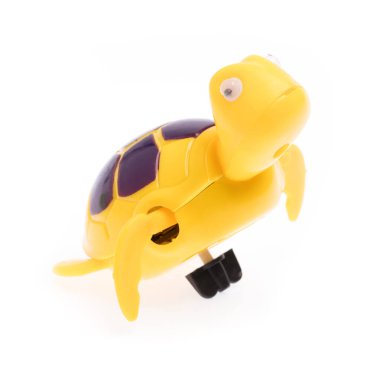 Plastik oyuncak kaplumbağa beyaz arkaplanda izole edildi