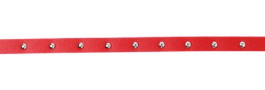 beyaz arkaplanda kuşak izolasyonu 