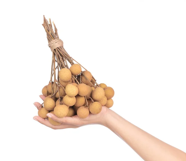 Hand holding bunch of longan isolated on white background — 图库照片