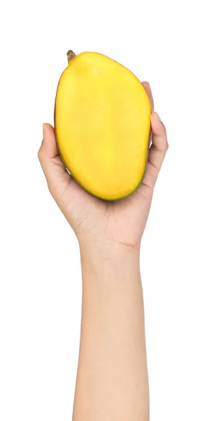 Hand houden helft van mango geïsoleerd op witte achtergrond — Stockfoto