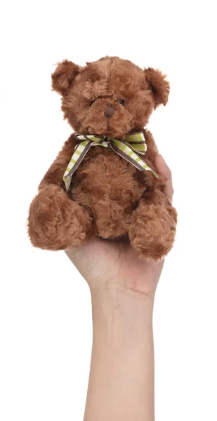 Hand hält Teddybär Puppe isoliert auf weißem Hintergrund. — Stockfoto