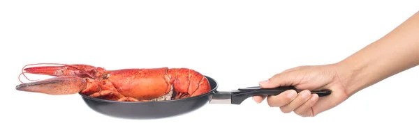 Tangan Memegang Lobster Pada Penggorengan Pan Terisolasi Pada Latar Belakang — Stok Foto