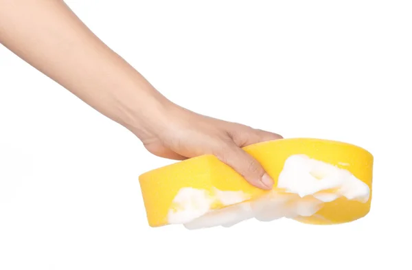 hand holding Sponge with foam soap sud isolated on white backgro