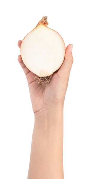 Mão segurando metade da cebola fresca isolada no fundo branco — Fotografia de Stock