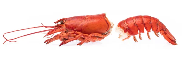 Хвіст з головою Shrimp Lobster ізольований на білому тлі — стокове фото