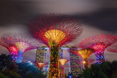 SINGAPORE - FEBRUARY 18, 2017: Supertree garden at night, garden