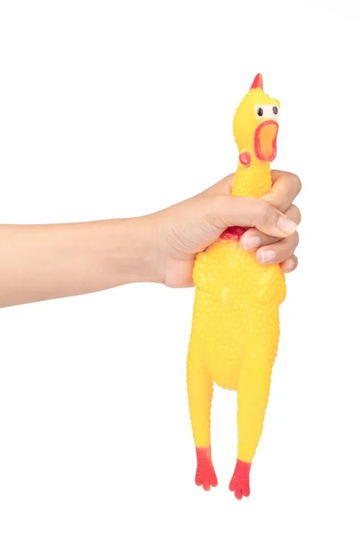 Рука тримає іграшкову гумову скручену жовту курку ізольовано на білому — стокове фото