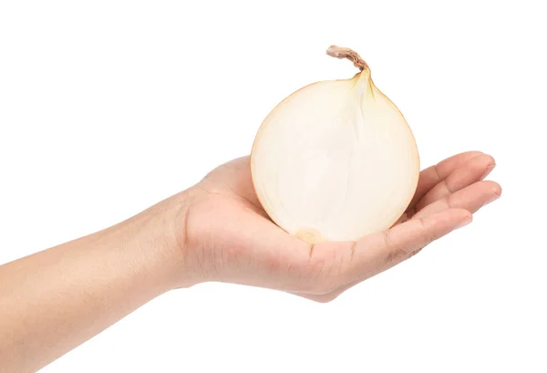 Trzymanie połowy świeżej cebuli na białym tle — Zdjęcie stockowe