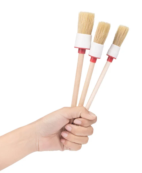 Hand holding Wooden Handled Paintbrushes isolated on a white bac — 图库照片