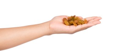 El ele tutuşmalar beyaz arka planda izole edilmiş üzümler