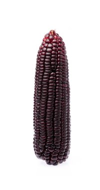 beyaz arkaplanda izole edilmiş mor mısır