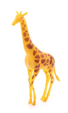 giraffe made out of plastic. animal toy isolated on white background