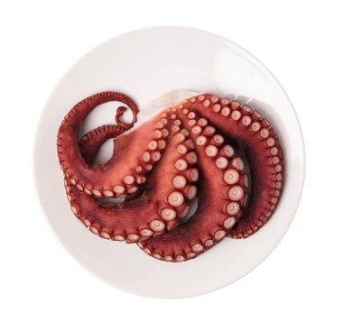 Beyaz arkaplanda izole edilmiş tabağın üzerindeki mürekkep balığı dokunaçlarının güzelliği