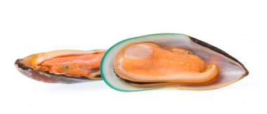 Beyaz arkaplanda izole edilmiş midyeler kaynatıldı