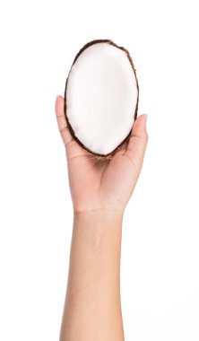 Hindistan cevizi tutarken Eski kahverengi beyaz arka planda izole