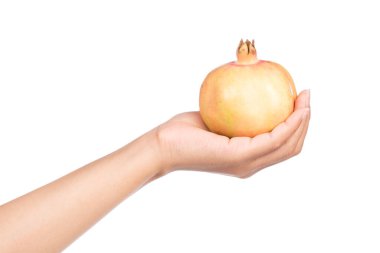 El ele tutuşan nar meyveleri beyaz arka planda izole edilmiş..