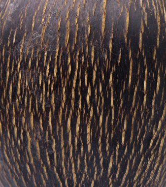 Palmira palmiyesinin arkaplanı