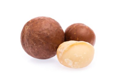 Macadamia fındığı beyaz arkaplanda izole edildi.