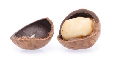 Macadamia beyaz arkaplanda izole edildi.