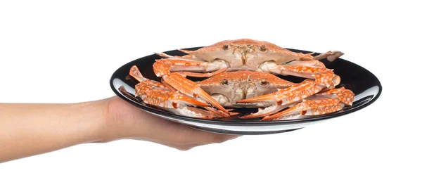 Håndholdt Kokt Krabbe Tilberedt Svart Plate Isolert Hvit Bakgrunn – stockfoto