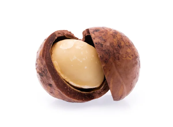 Dado Macadamia Isolato Sfondo Bianco — Foto Stock