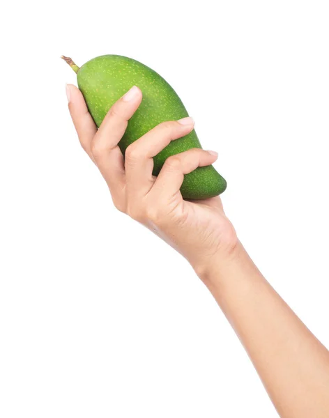 Hand Hält Grüne Mango Isoliert Auf Weißem Hintergrund — Stockfoto