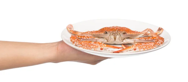 用手托着螃蟹在白底隔离的盘子上 — 图库照片