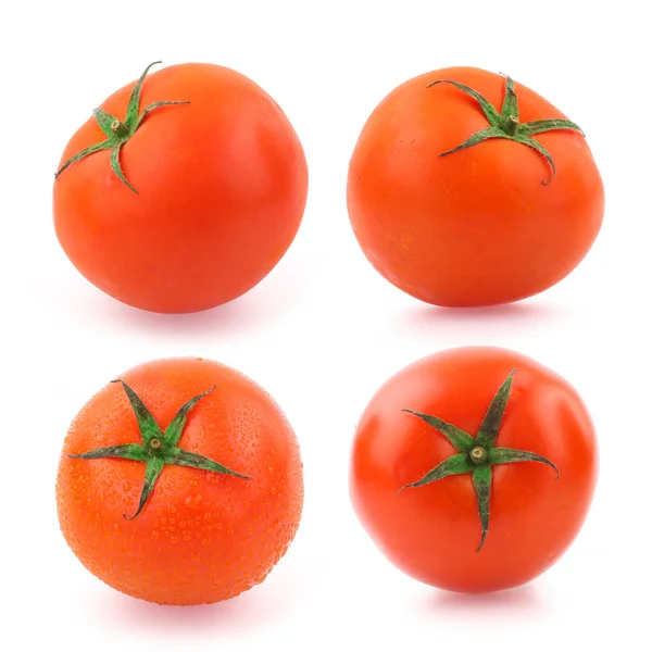 Tomato Set Isolated White Background — Stock Photo, Image