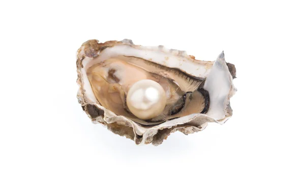 Open Oyster Pearl Isolated White Background Royalty Free Stock Images