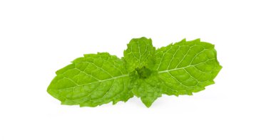 Beyaz arkaplanda izole edilmiş taze çiğ nane yaprakları