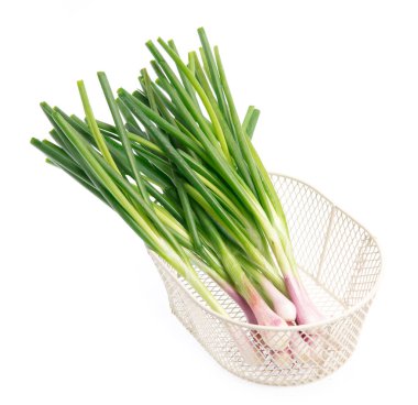 Beyaz zemin üzerinde izole edilmiş soğan bahar sepeti