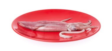 Beyaz arkaplanda izole edilmiş bir tabakta taze mürekkep balığı