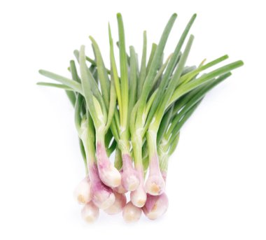 Beyaz arkaplanda soğan yayı izole edildi