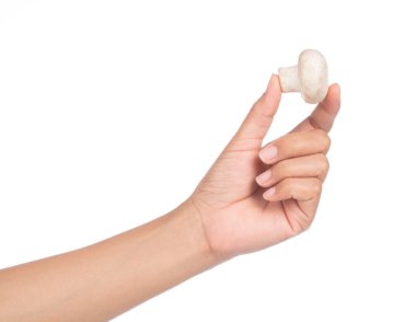 Şampiyon mantarı beyaz arka planda tek başına tutuyor.