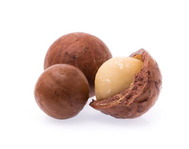 Macadamia fındığı beyaz arkaplanda izole edildi.
