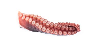 Beyaz arka plan üzerinde izole ahtapot tentacles