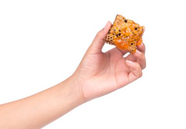 Beyaz arkaplanda el ele tutuşan bal petekleri izole edildi