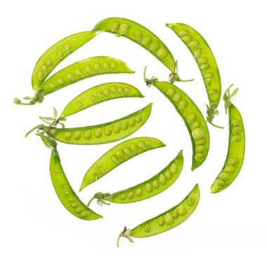 çalı fasulyesi beyaz zemin üzerine izole 