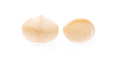 Macadamia fındığı beyaz arkaplanda izole edildi.