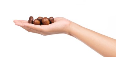 Beyaz arka planda el ele tutuşan kestaneler